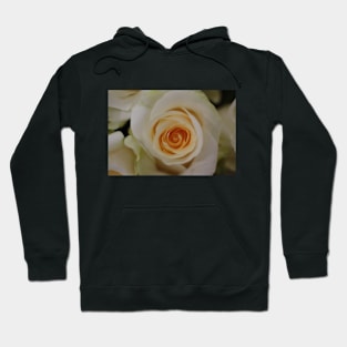 weisse Rosen Hoodie